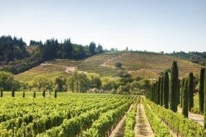 car title loans Napa