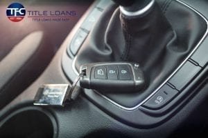 Car title loans in Florida